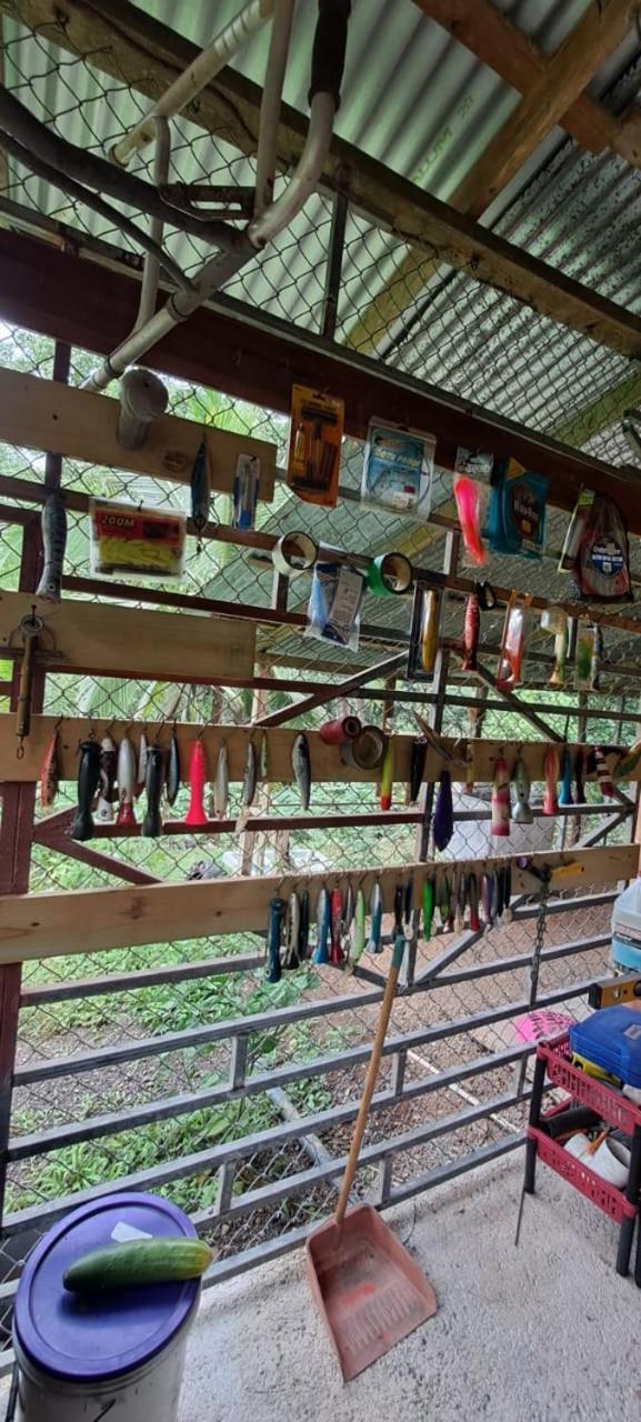 Hostel Hook And Cook Drakes Bay Εξωτερικό φωτογραφία